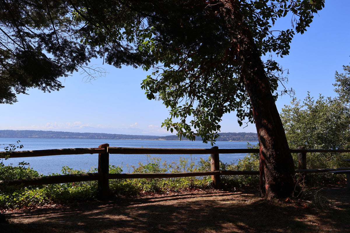 A Quiet Day on Camano Island
