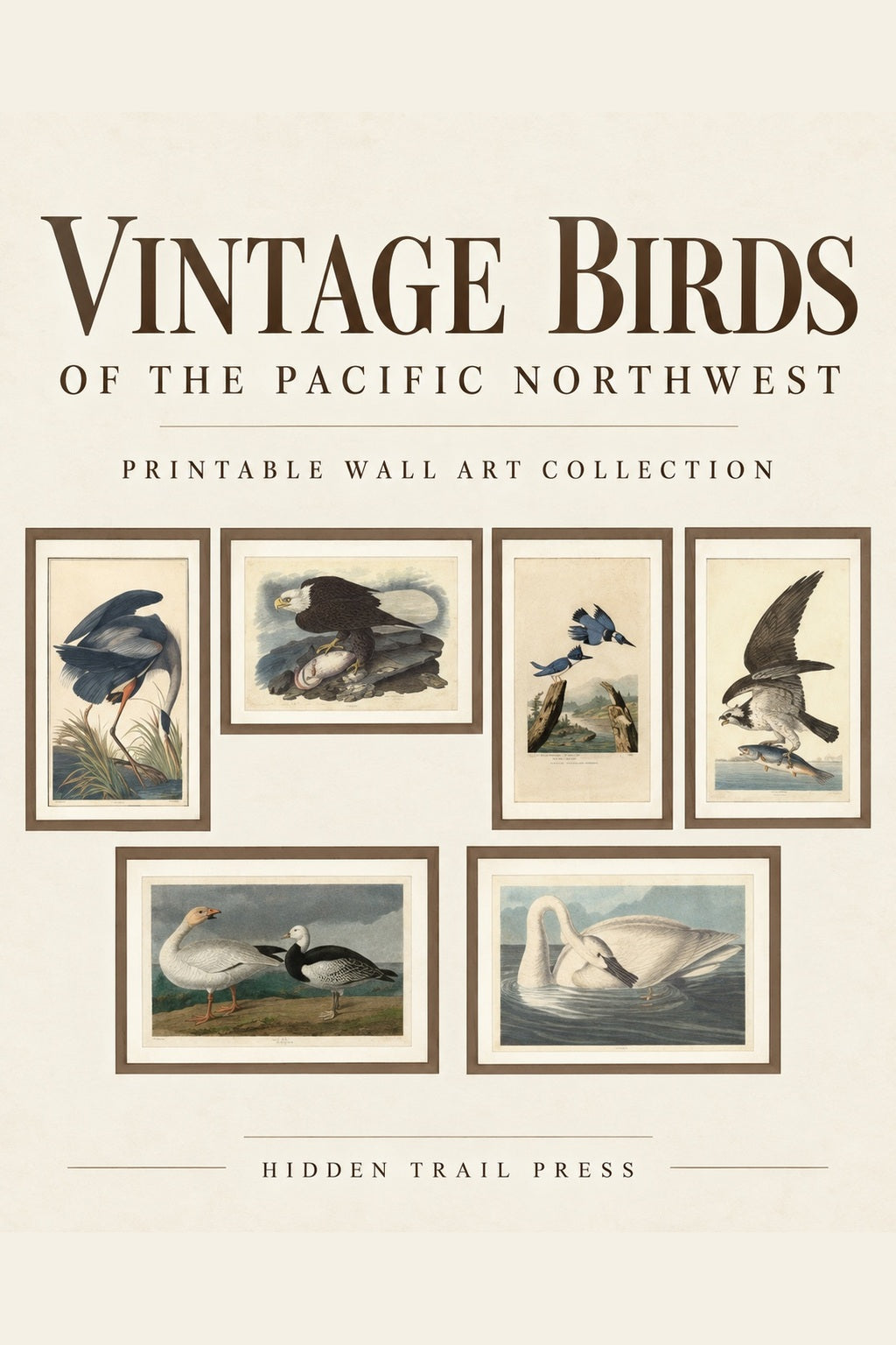 Vintage Birds of the Pacific Northwest – Printable Wall Art Collection