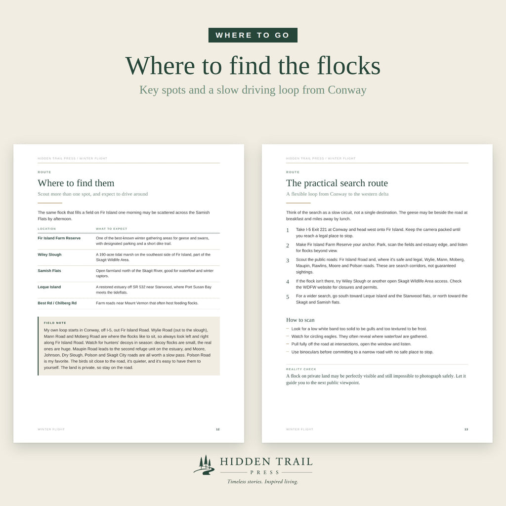Winter Flight: A Field Guide to the Snow Geese & Swans of the Skagit Valley